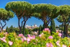 roseto di roma_656009122
