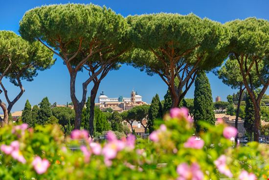 roseto di roma_656009122 roseto di roma_656009122  