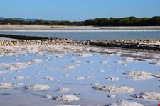 Saline_Formentera