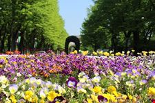 salsomaggiore_parco