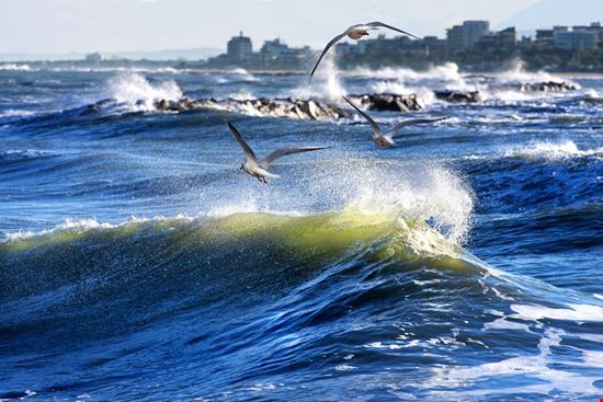 san_benedetto_del_tronto_sea san_benedetto_del_tronto_sea  
