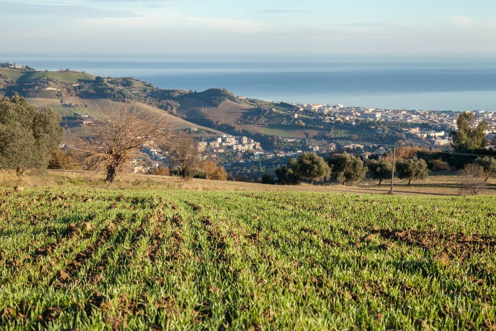 san_benedetto_del_tronto_view