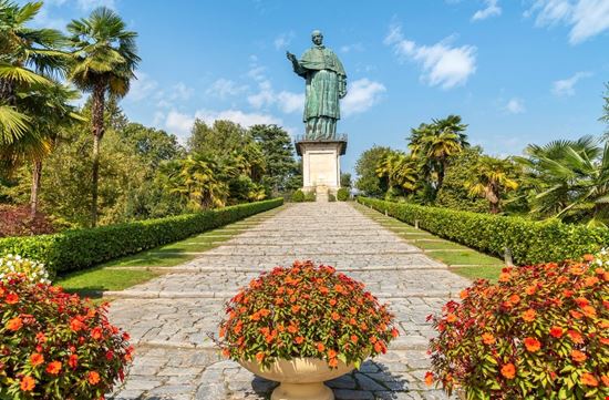 San_Carlona_Arona San_Carlona_Arona  