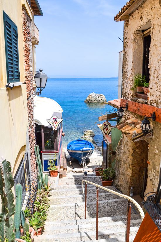 Scilla_156597700-min.jpeg Scilla_156597700-min.jpeg  