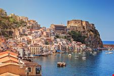 Scilla_177754879-min.jpeg