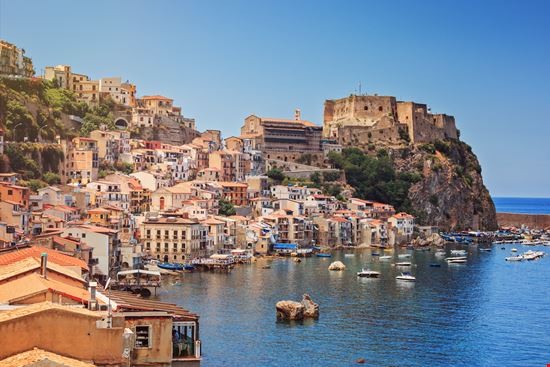 Scilla_177754879-min.jpeg Scilla_177754879-min.jpeg  
