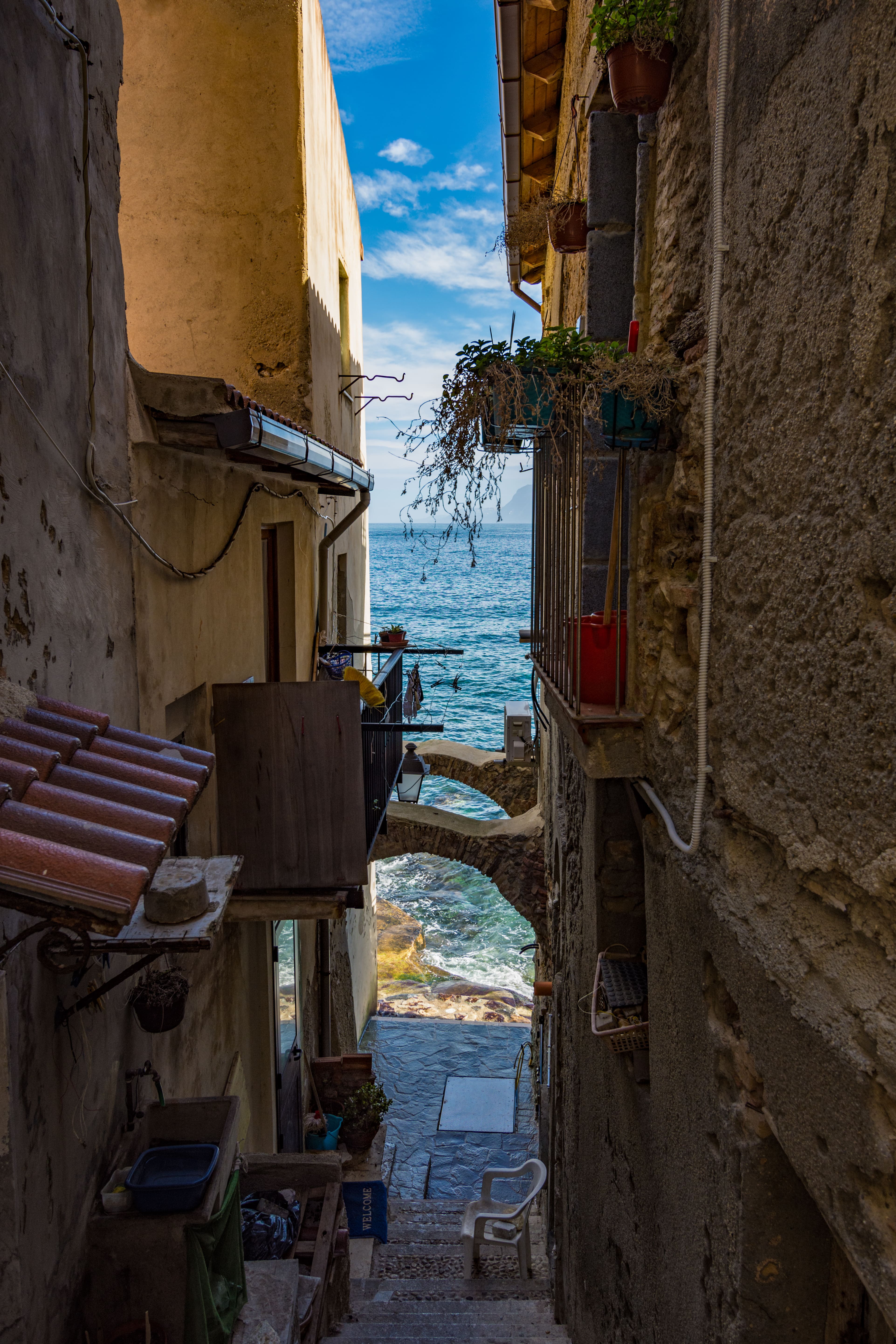 Scilla_195193995-min.jpeg