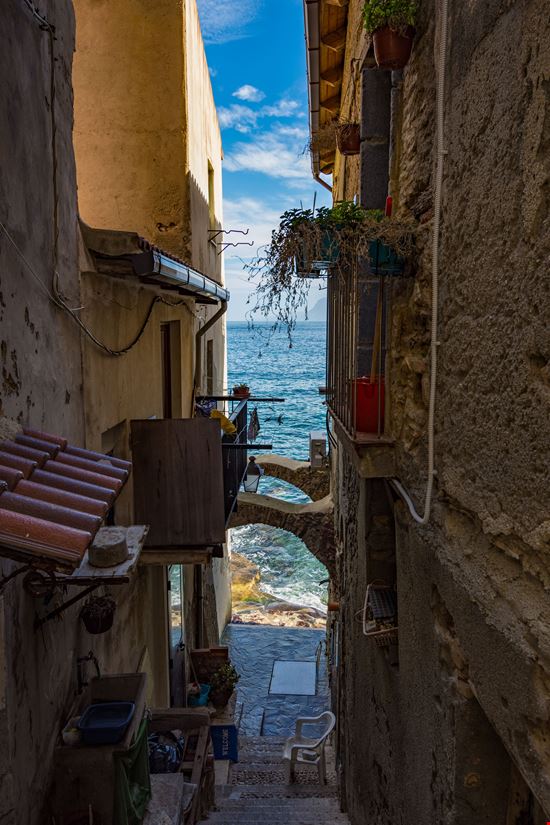 Scilla_195193995-min.jpeg Scilla_195193995-min.jpeg  