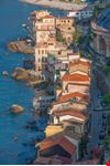 Scilla_207763650-min.jpeg