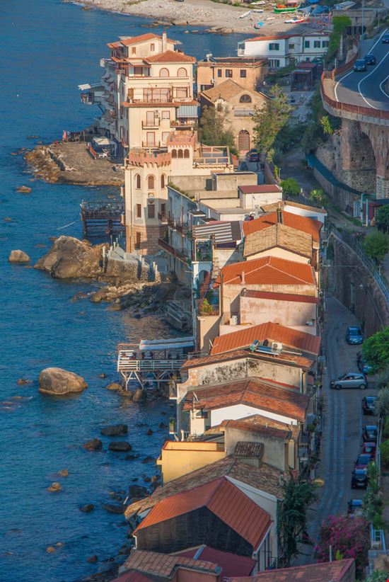 Scilla_207763650-min.jpeg Scilla_207763650-min.jpeg  