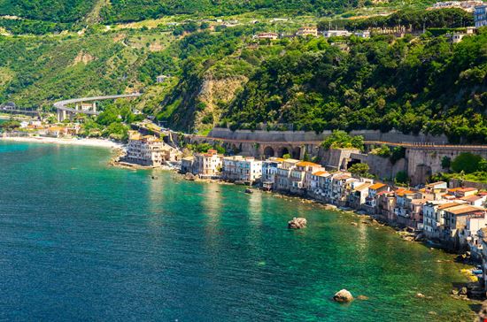 Scilla_229038804-min.jpeg Scilla_229038804-min.jpeg  