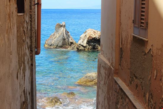 Scilla_294738655-min.jpeg Scilla_294738655-min.jpeg  