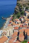 Scilla_294910169-min.jpeg