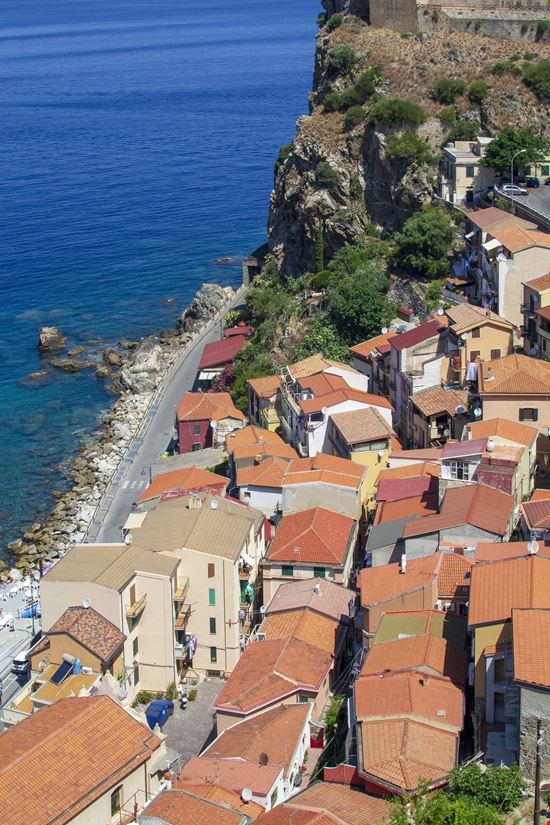Scilla_294910169-min.jpeg Scilla_294910169-min.jpeg  