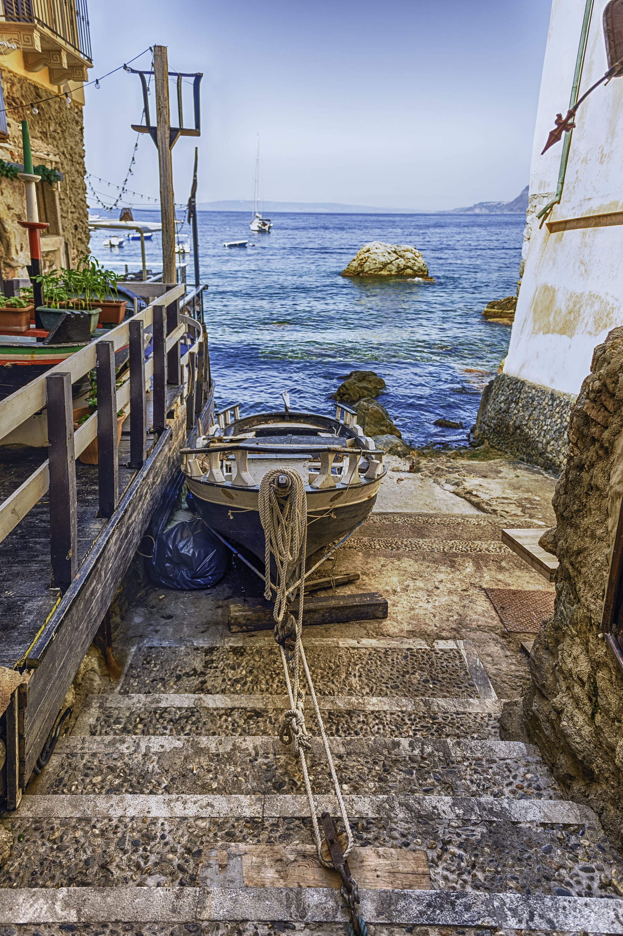 Scilla_382730667-min.jpeg