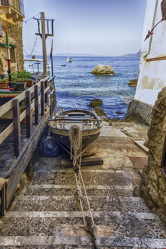 Scilla_382730667-min.jpeg Scilla_382730667-min.jpeg  