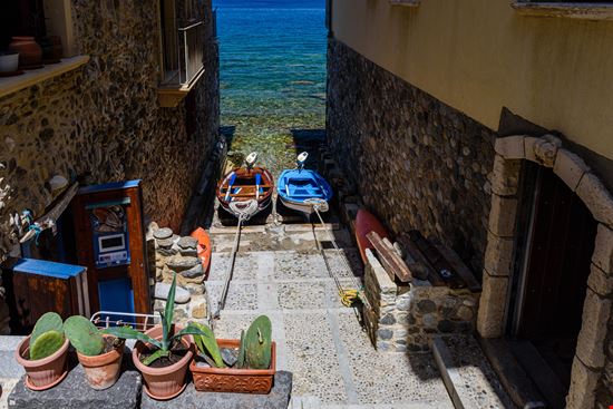 Scilla_392463237-min.jpeg Scilla_392463237-min.jpeg  
