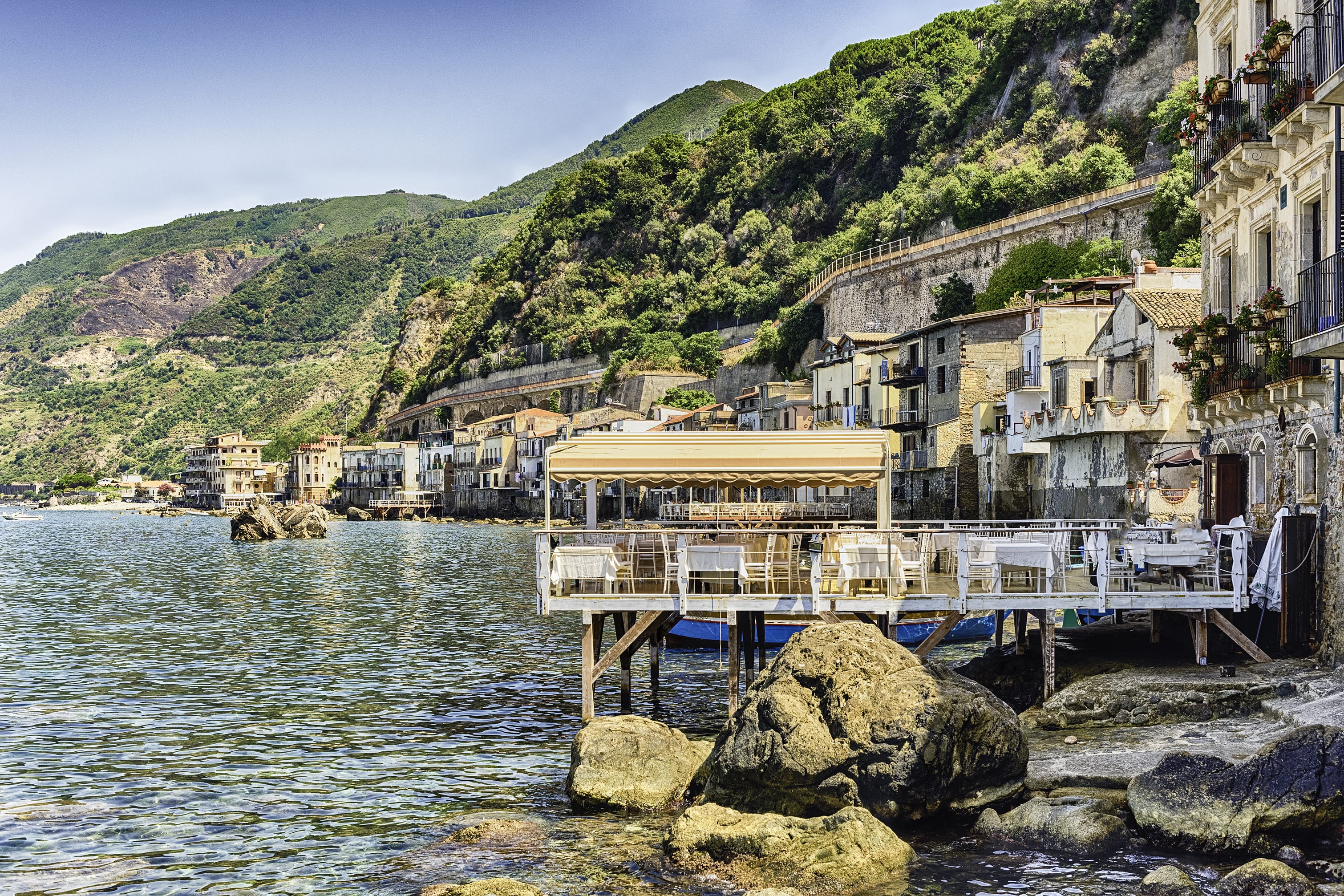 Scilla_393551016-min.jpeg