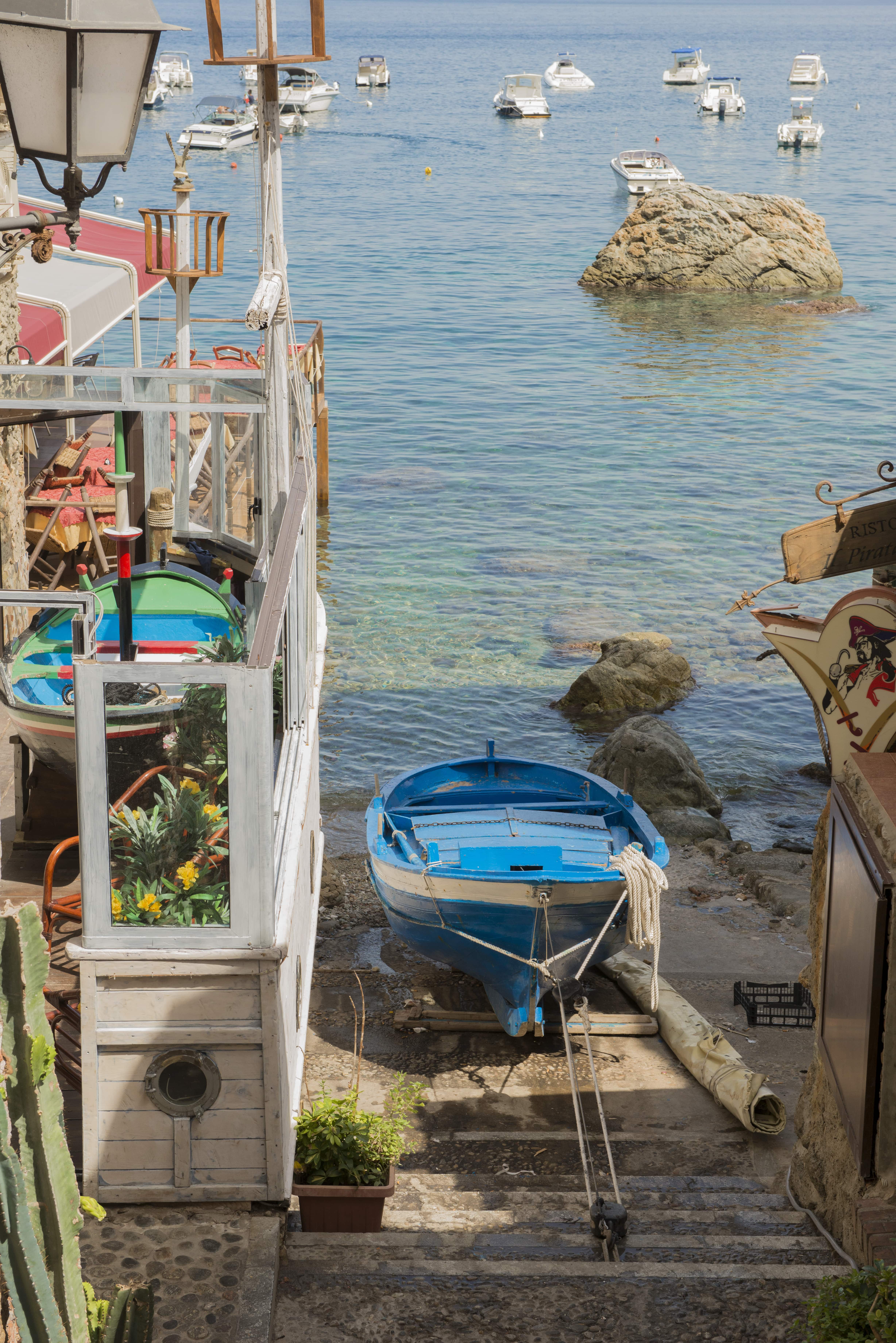 Scilla_64942914-min.jpeg