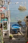 Scilla_64942914-min.jpeg