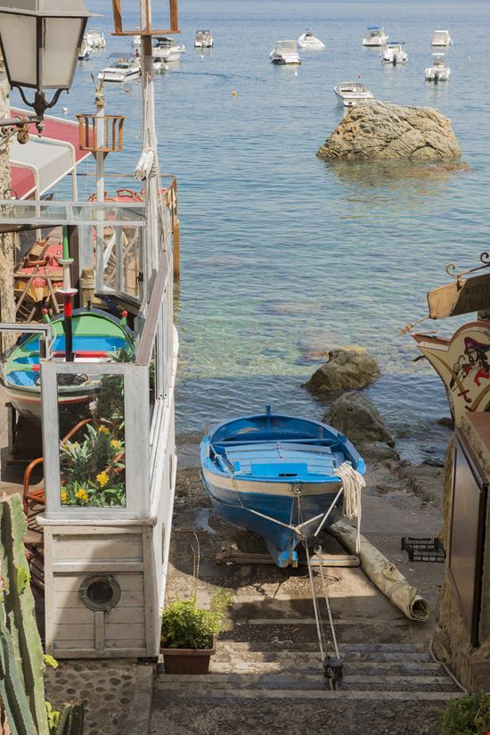 Scilla_64942914-min.jpeg Scilla_64942914-min.jpeg  