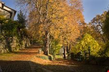 Scola_1191847840