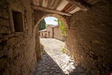 Scola_1556758694