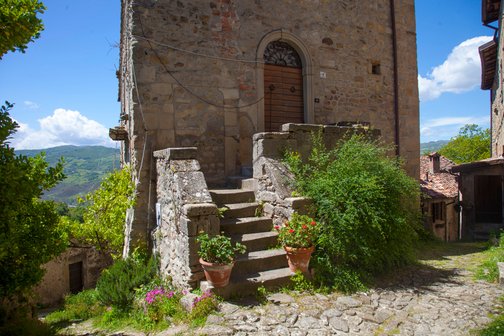 Scola_1556763086