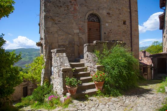 Scola_1556763086 Scola_1556763086  