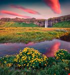 Seljalandsfoss_1941919912