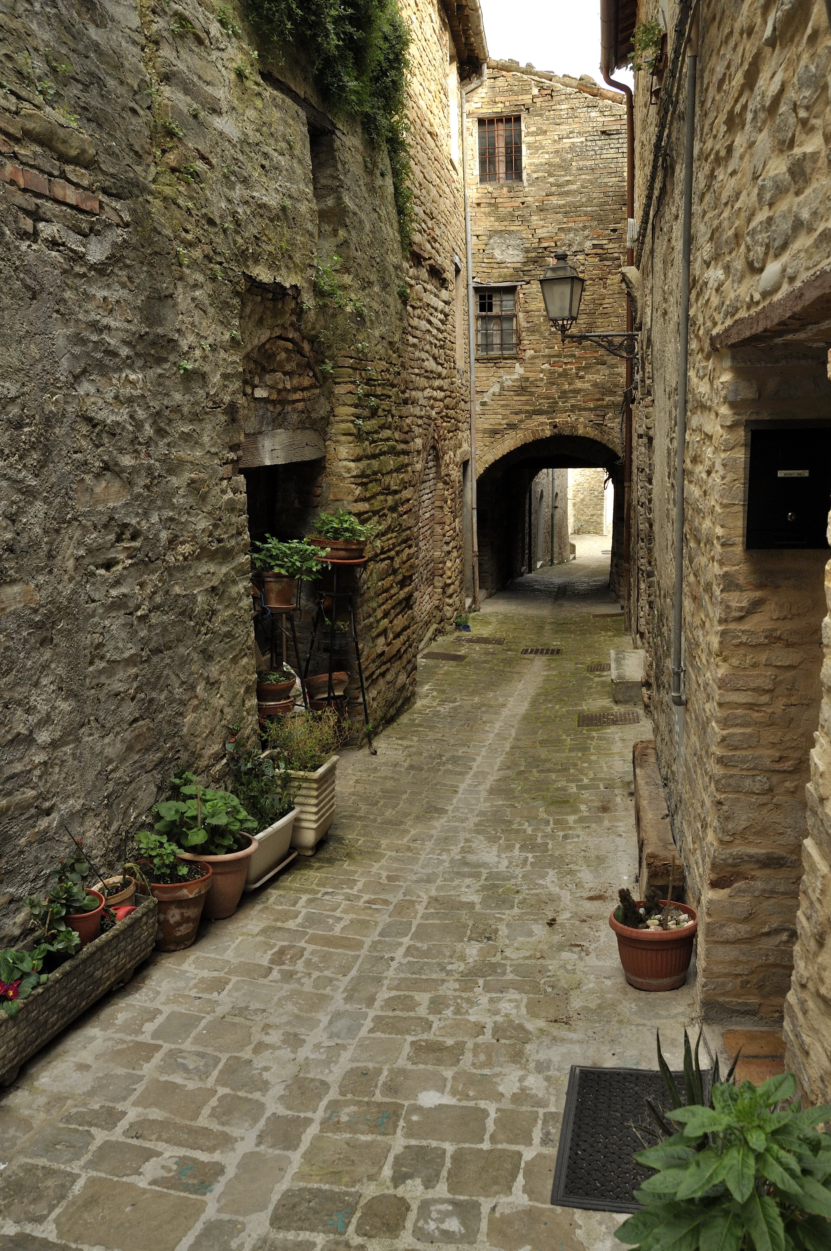 Serra_San_Quirico_64116029-min.jpeg