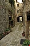 Serra_San_Quirico_64116029-min.jpeg