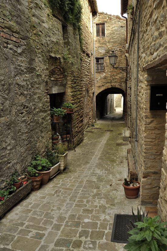 Serra_San_Quirico_64116029-min.jpeg Serra_San_Quirico_64116029-min.jpeg  