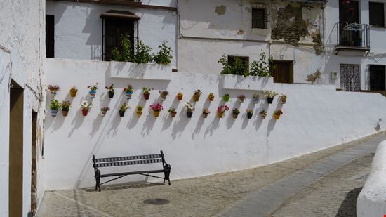 Setenil_224384679-min.jpeg Setenil_224384679-min.jpeg  