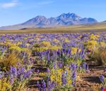 shutterstock_1062721847 shutterstock_1062721847