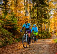 shutterstock_1203946594 shutterstock_1203946594