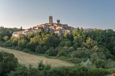 shutterstock_1204946383