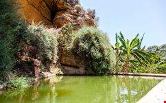 shutterstock_1287894181