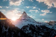 shutterstock_1380701966
