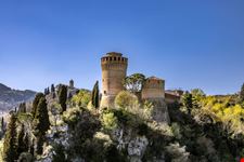 Shutterstock_1394026097