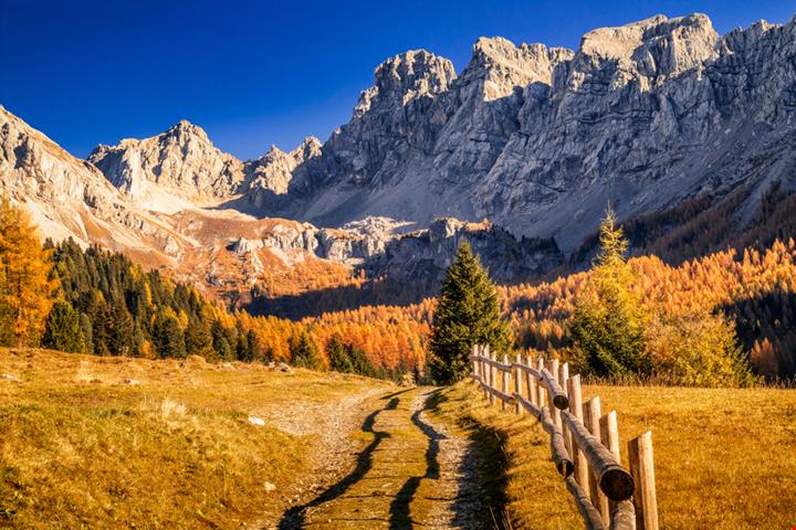 shutterstock_1430558135