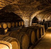 shutterstock_1717650487 shutterstock_1717650487