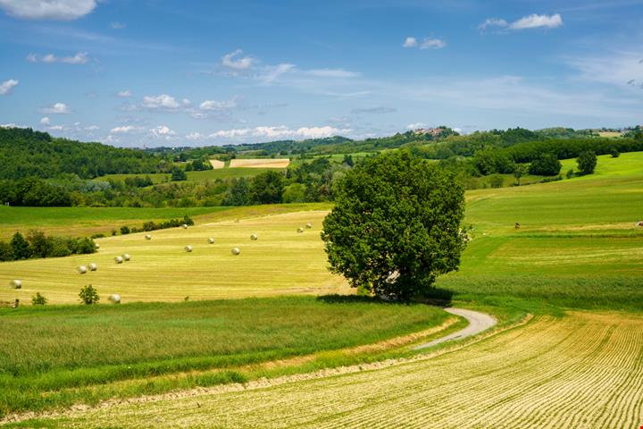 shutterstock_2023670459