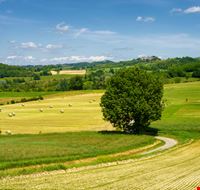 shutterstock_2023670459 shutterstock_2023670459
