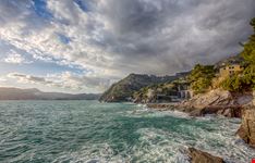 shutterstock_386431378