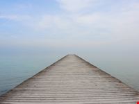 shutterstock_607771220