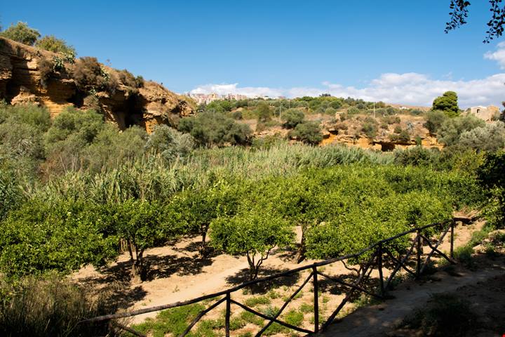 Giardini di primavera: 6 da visitare in Italia
