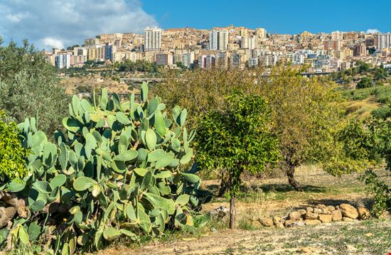 Kolymbetra Garden Agrigento  
