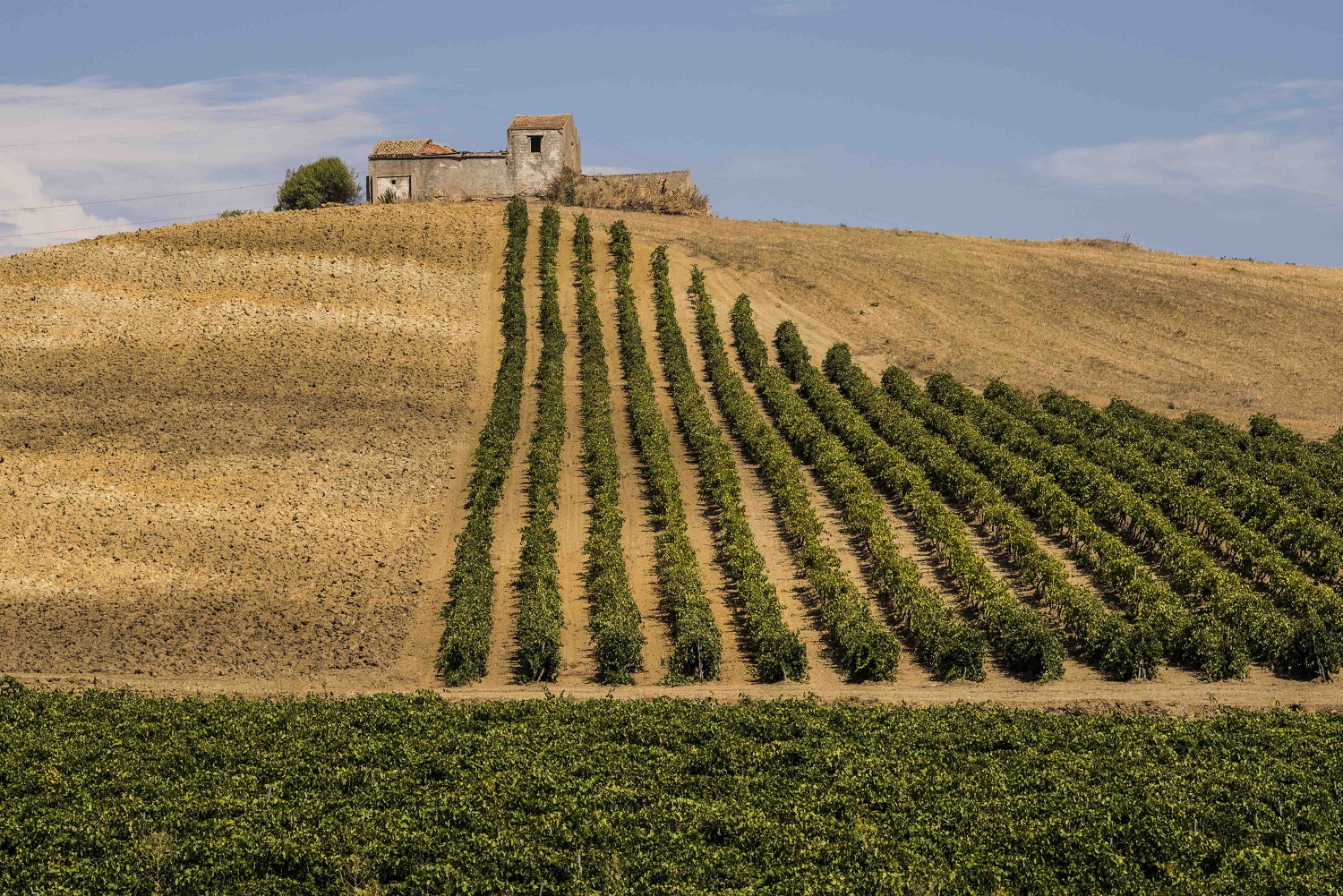 SiciliaDoc_25_1