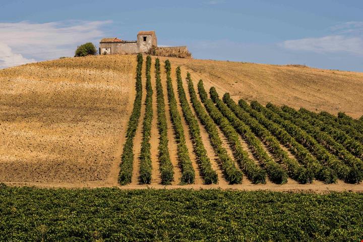 SiciliaDoc_25_1
